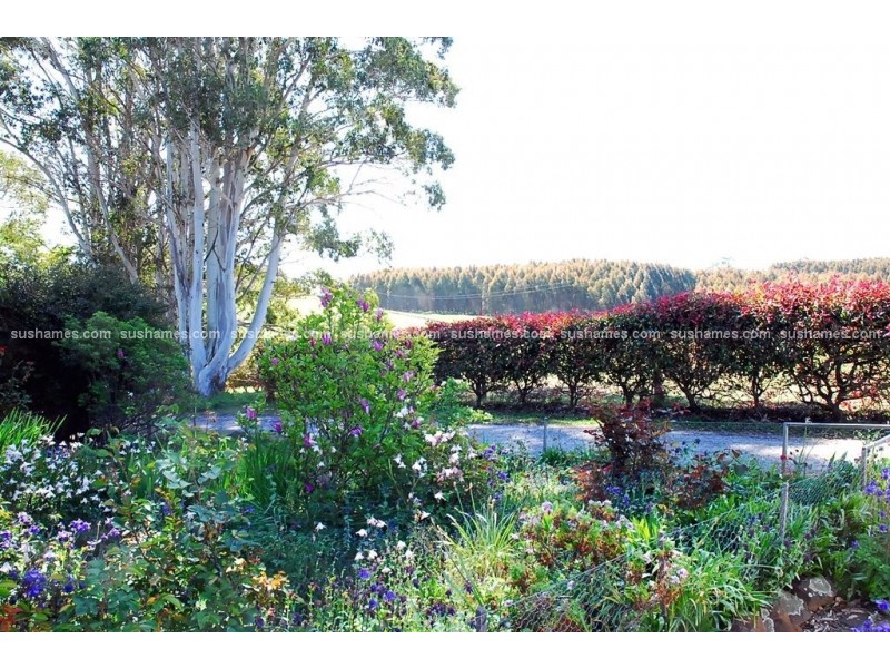 106 Weeks Road, Barrington TAS 7306