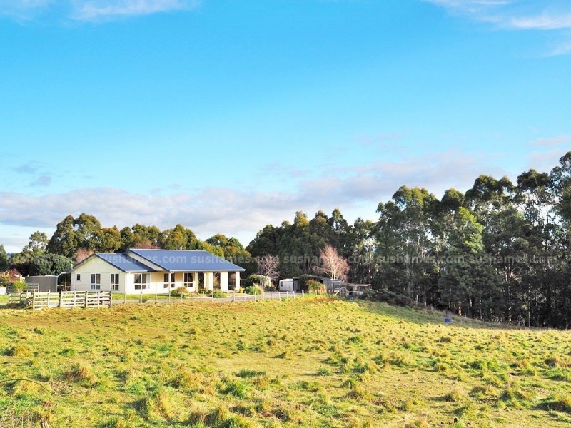 336 Back Road, Lower Wilmot TAS 7310