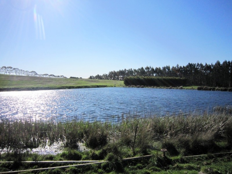 4597 & 4709 Frankford Road, Harford TAS 7307