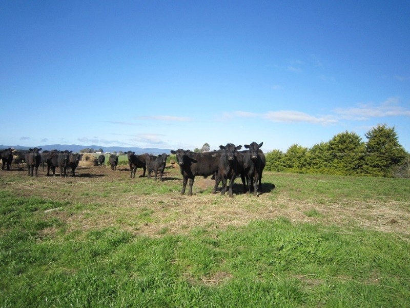 4597 & 4709 Frankford Road, Harford TAS 7307