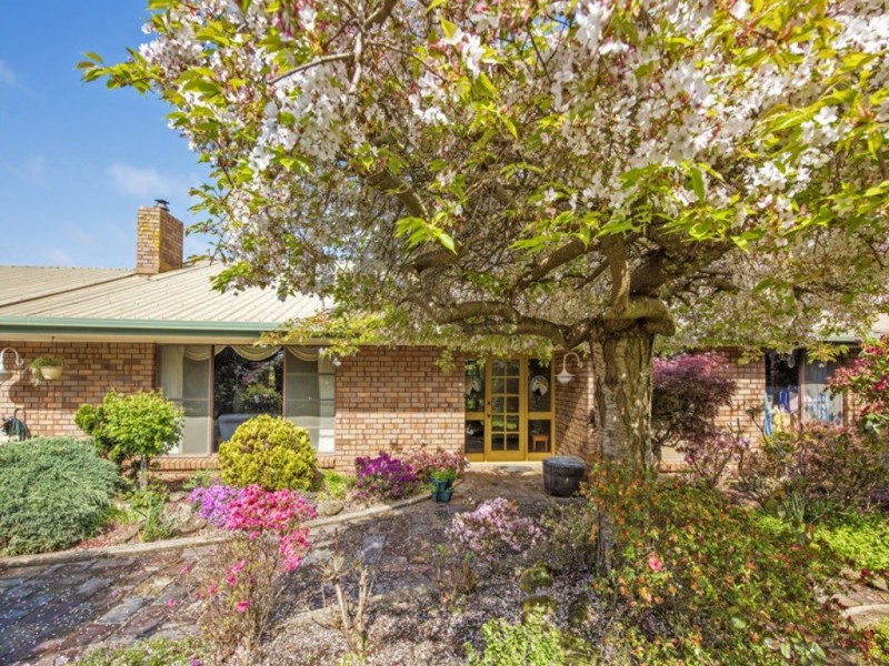 222 Forthside Road, Forthside TAS 7310