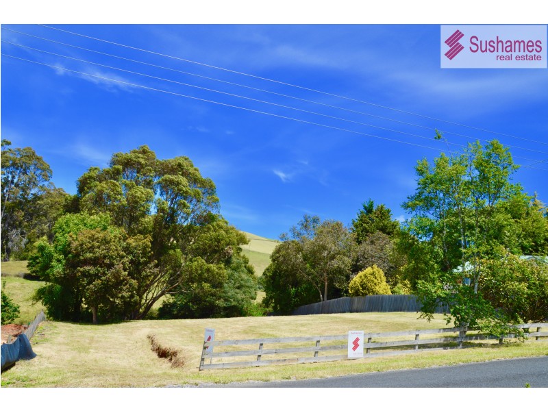 21 Walker Street, Forth TAS 7310