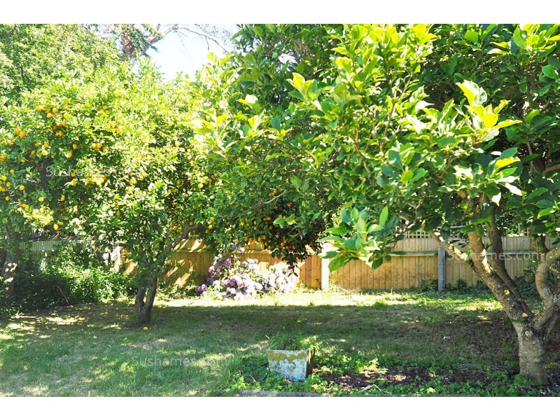 23 Quiggin Street, Wynyard TAS 7325