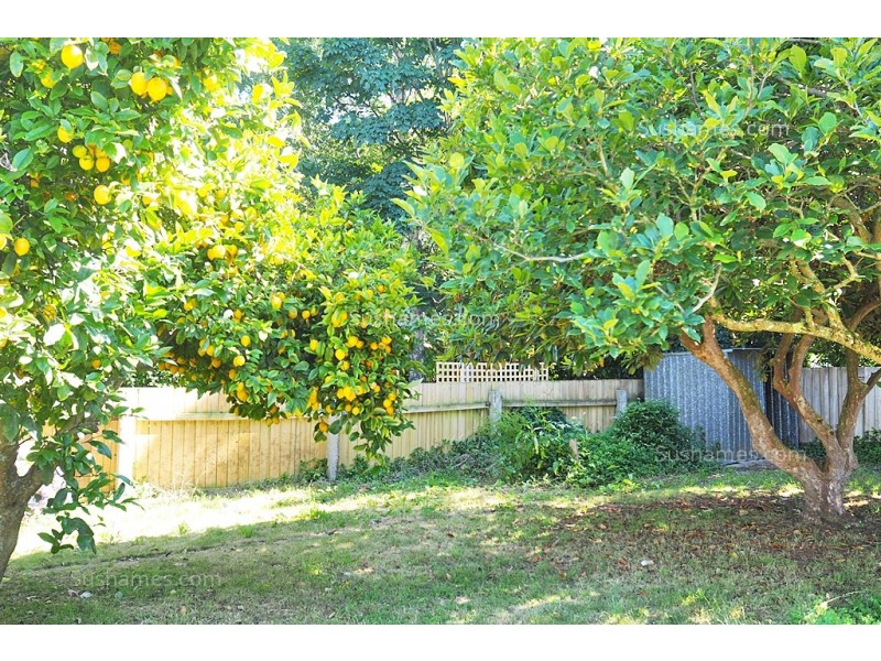 23 Quiggin Street, Wynyard TAS 7325