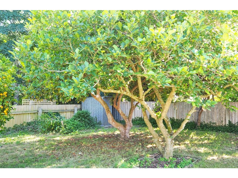 23 Quiggin Street, Wynyard TAS 7325