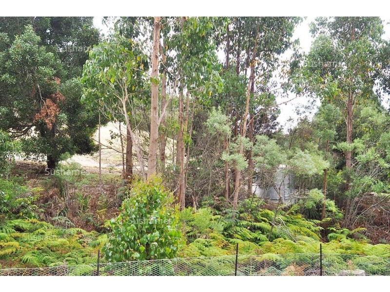12 Mangana Drive, Tugrah TAS 7310