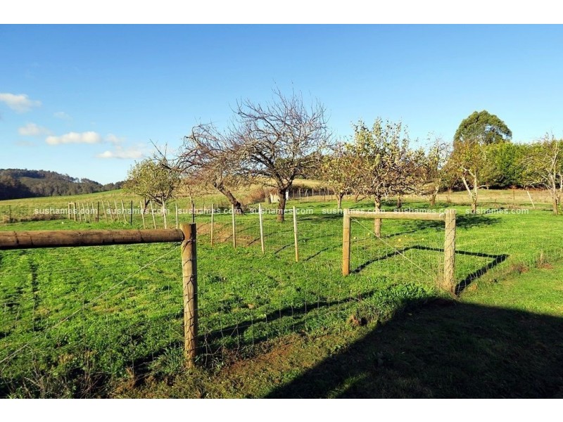 29A Main Street, Wilmot TAS 7310