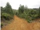 382 Wilmot Road, Forth TAS 7310