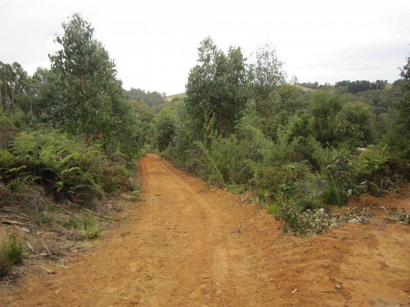 382 Wilmot Road, Forth TAS 7310