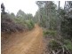 382 Wilmot Road, Forth TAS 7310