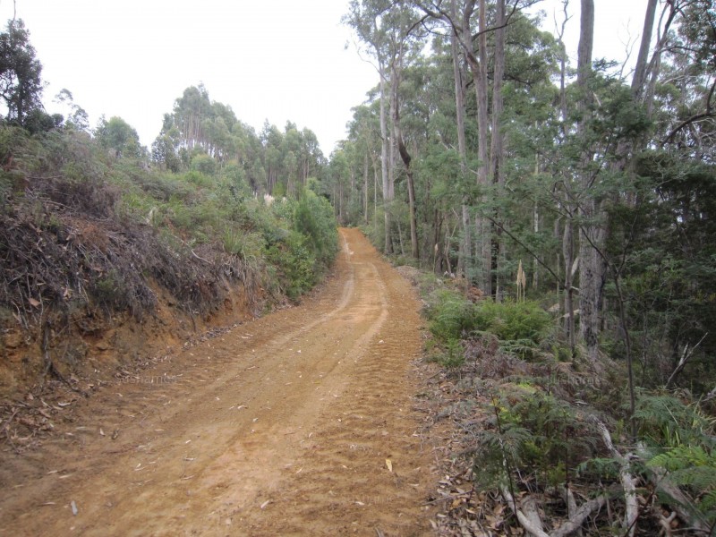 382 Wilmot Road, Forth TAS 7310