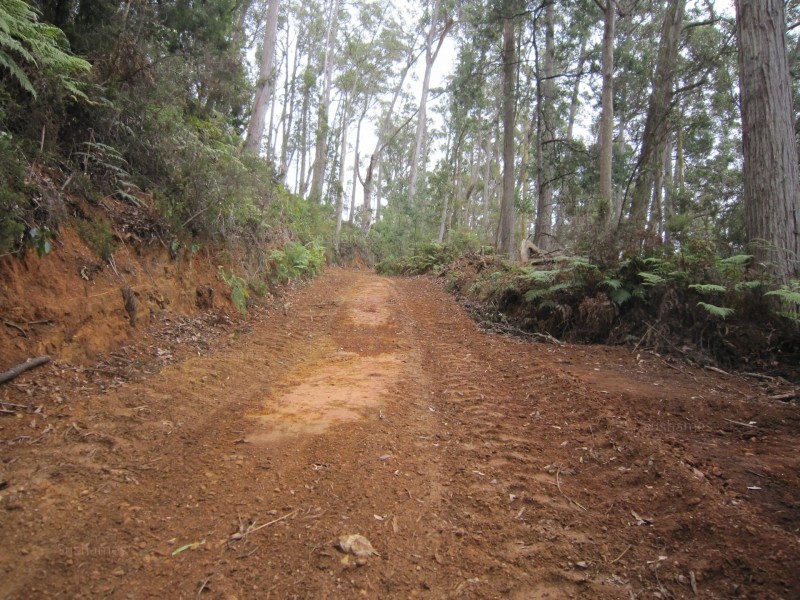 382 Wilmot Road, Forth TAS 7310
