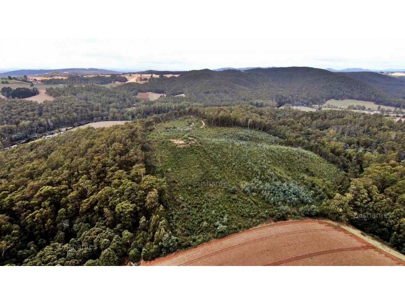 382 Wilmot Road, Forth TAS 7310