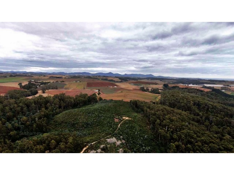 382 Wilmot Road, Forth TAS 7310