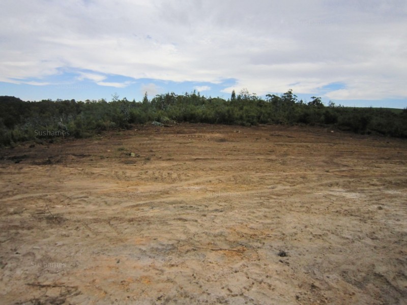 382 Wilmot Road, Forth TAS 7310