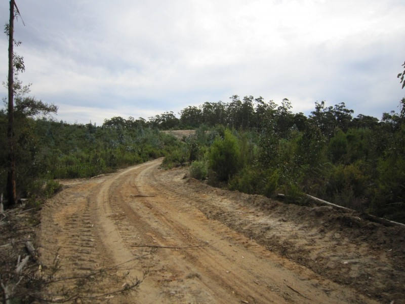 382 Wilmot Road, Forth TAS 7310