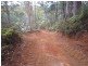 382 Wilmot Road, Forth TAS 7310