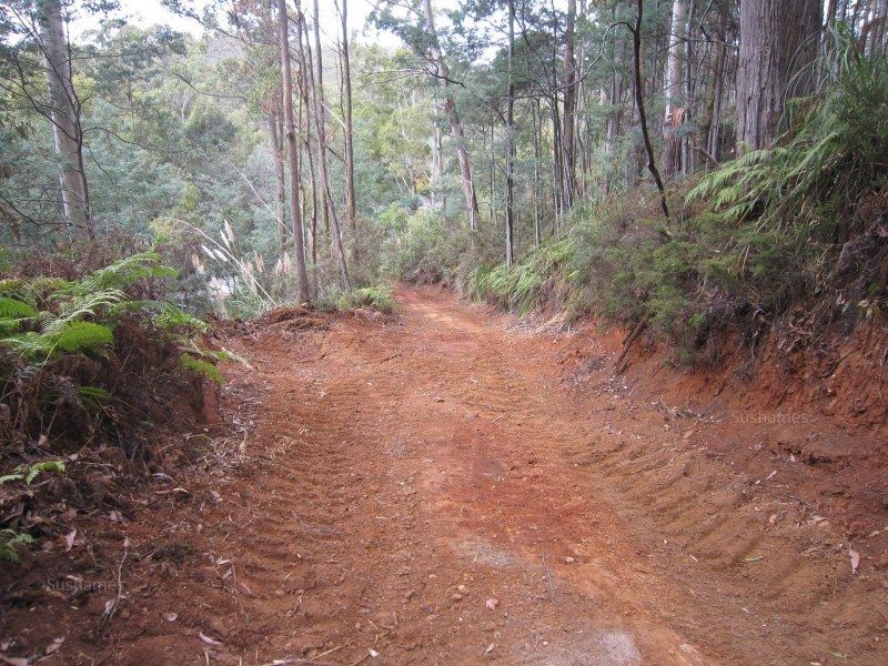 382 Wilmot Road, Forth TAS 7310