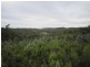 382 Wilmot Road, Forth TAS 7310