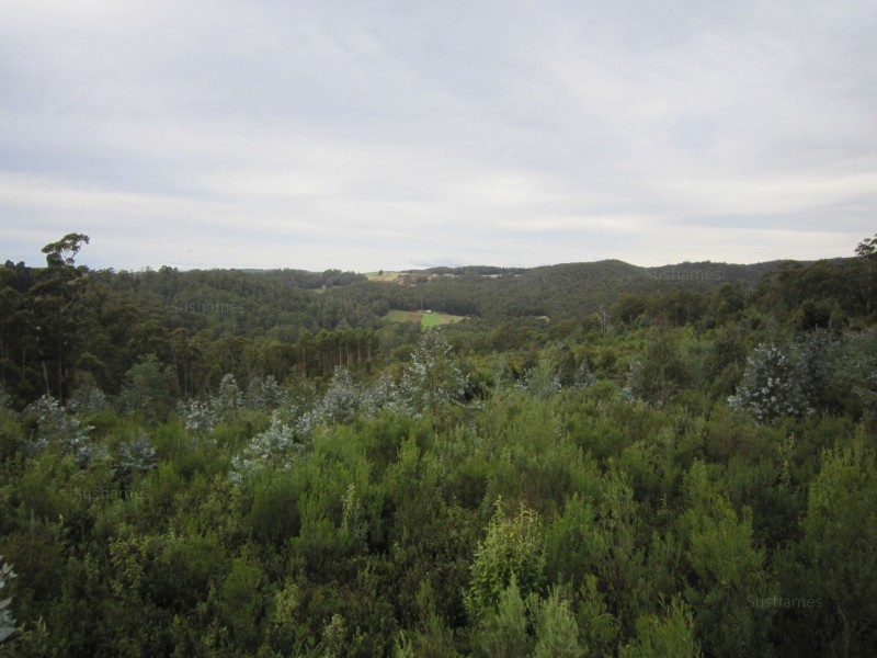 382 Wilmot Road, Forth TAS 7310