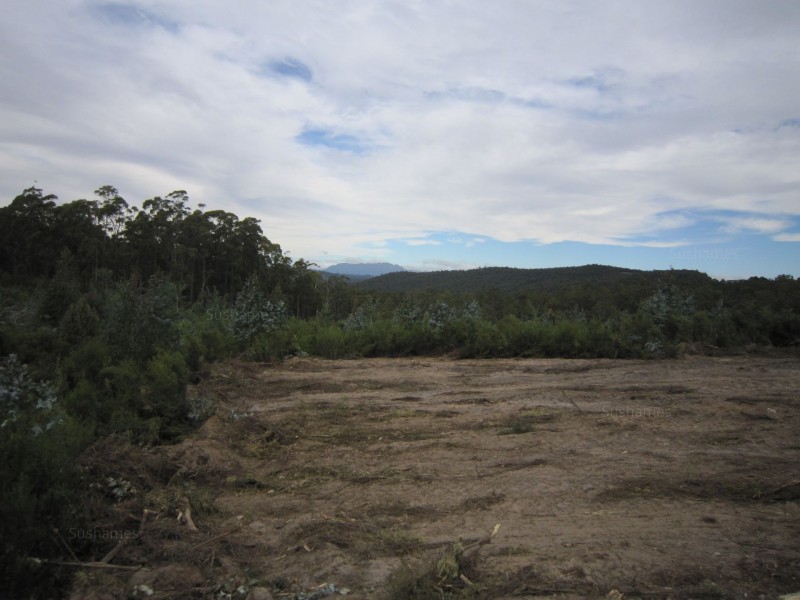 382 Wilmot Road, Forth TAS 7310
