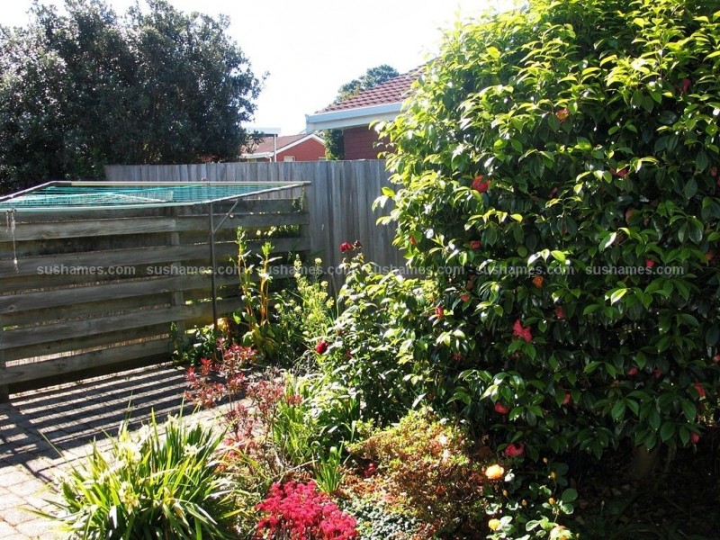 7/17 Victoria Parade, Devonport TAS 7310