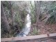 86 Dallys Road, Railton TAS 7305