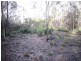 86 Dallys Road, Railton TAS 7305