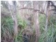 86 Dallys Road, Railton TAS 7305