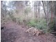 86 Dallys Road, Railton TAS 7305