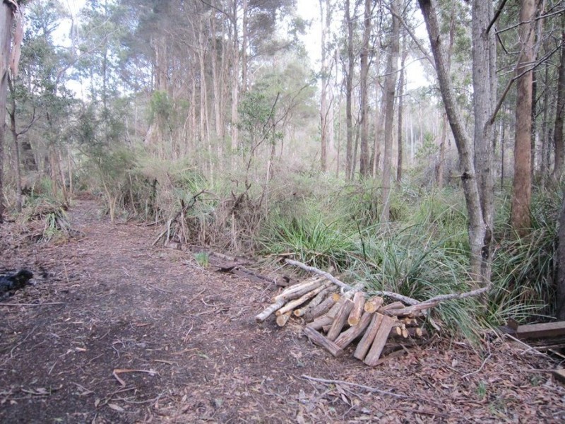 86 Dallys Road, Railton TAS 7305