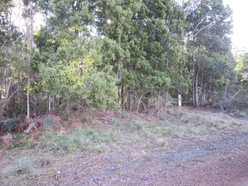 86 Dallys Road, Railton TAS 7305