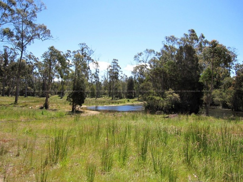 Lot 2 Appleby Road, Thirlstane TAS 7307