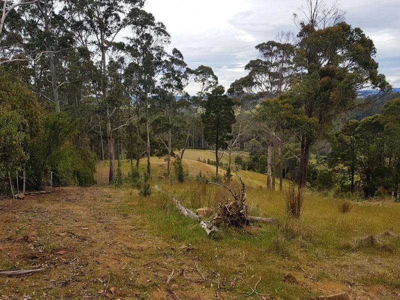 837 Weetah Road, Weetah TAS 7304