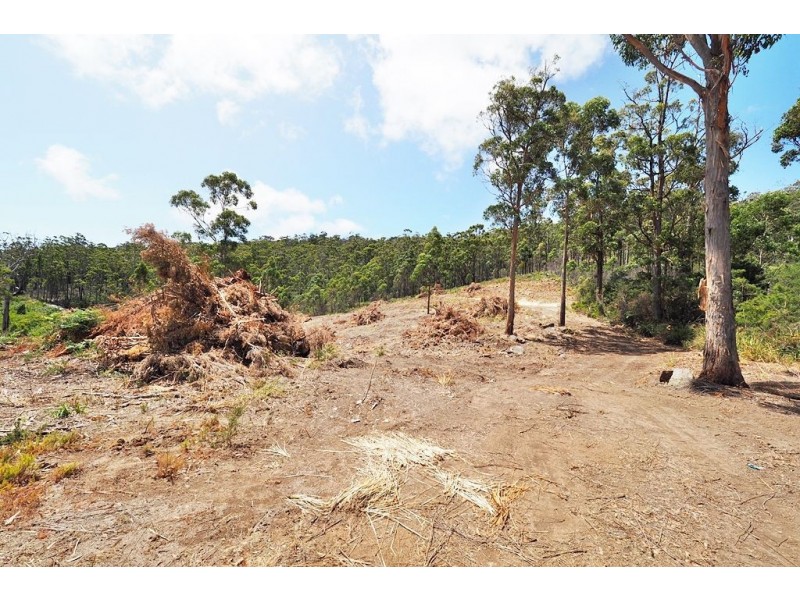 19 Forest Heights Drive, Tugrah TAS 7310