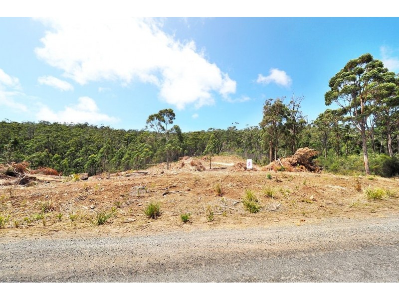 19 Forest Heights Drive, Tugrah TAS 7310
