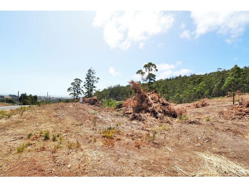 19 Forest Heights Drive, Tugrah TAS 7310