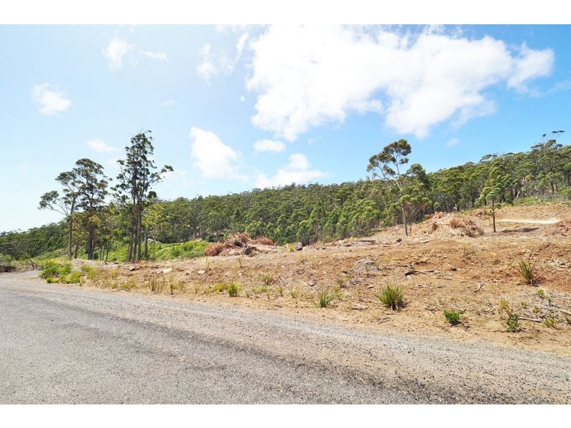 19 Forest Heights Drive, Tugrah TAS 7310