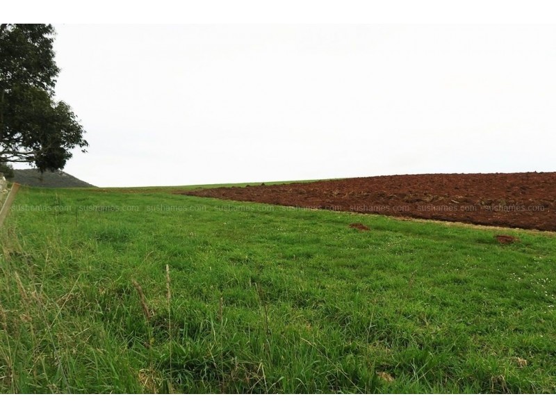 190-327 Nook Road, Sheffield TAS 7306