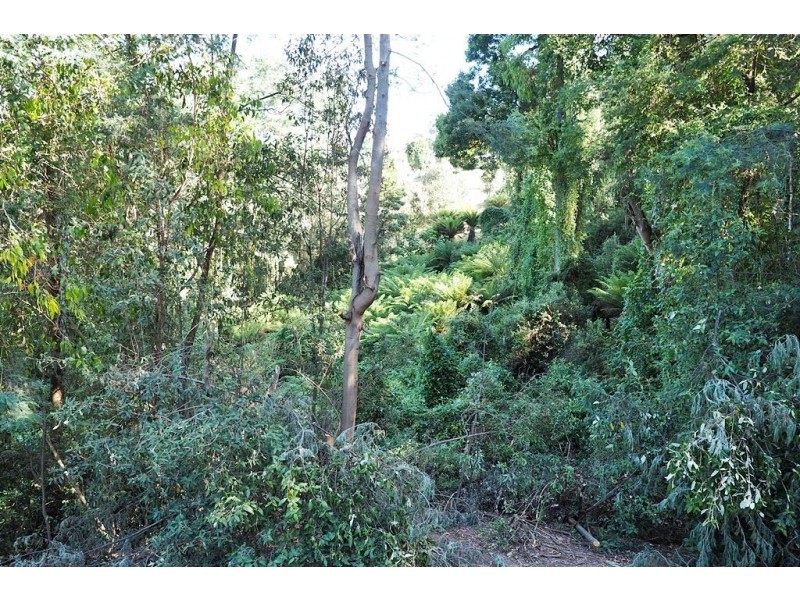 1 Wattle Bank Close, Spreyton TAS 7310