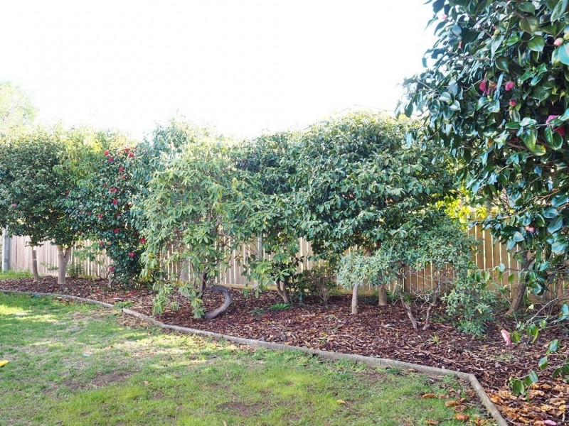 19 Ronald Street, Devonport TAS 7310