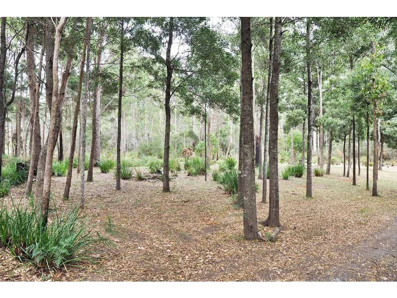 86 Dallys Road, Railton TAS 7305