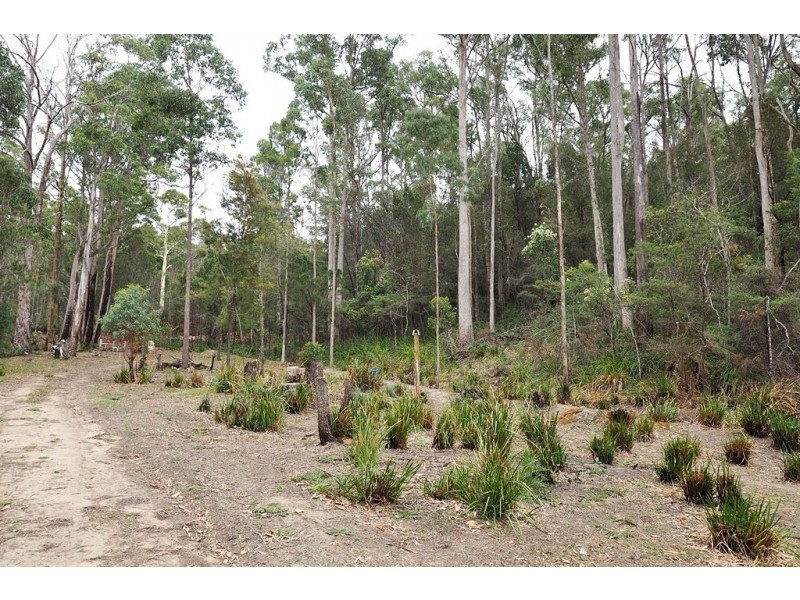 86 Dallys Road, Railton TAS 7305