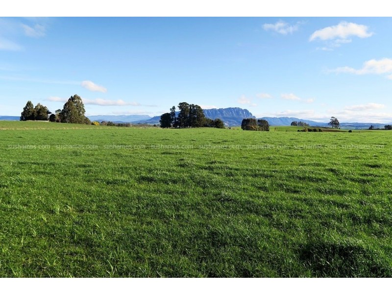 191-327 NOOK ROAD, Sheffield TAS 7306