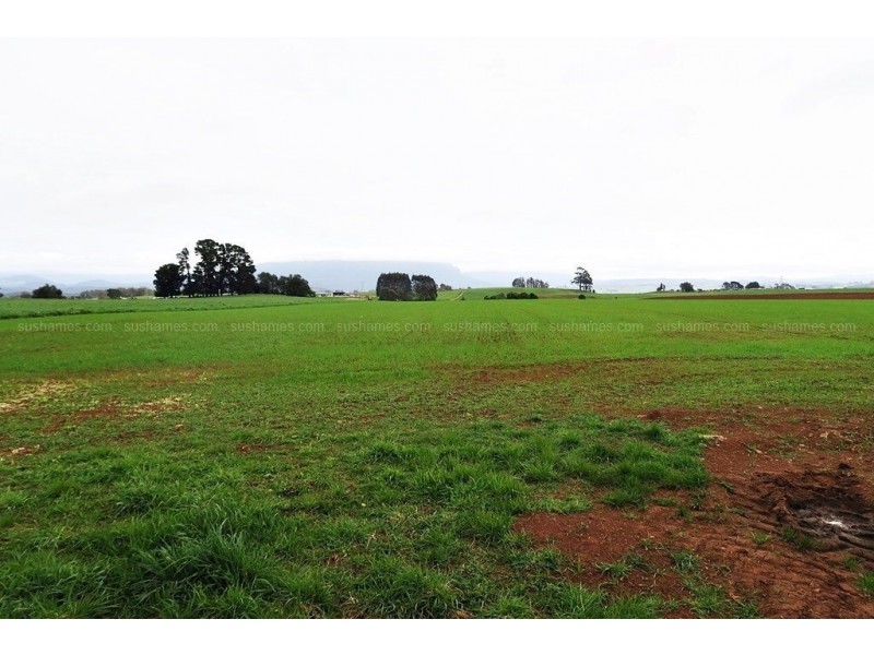 191-327 NOOK ROAD, Sheffield TAS 7306