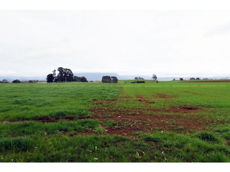 191-327 NOOK ROAD, Sheffield TAS 7306