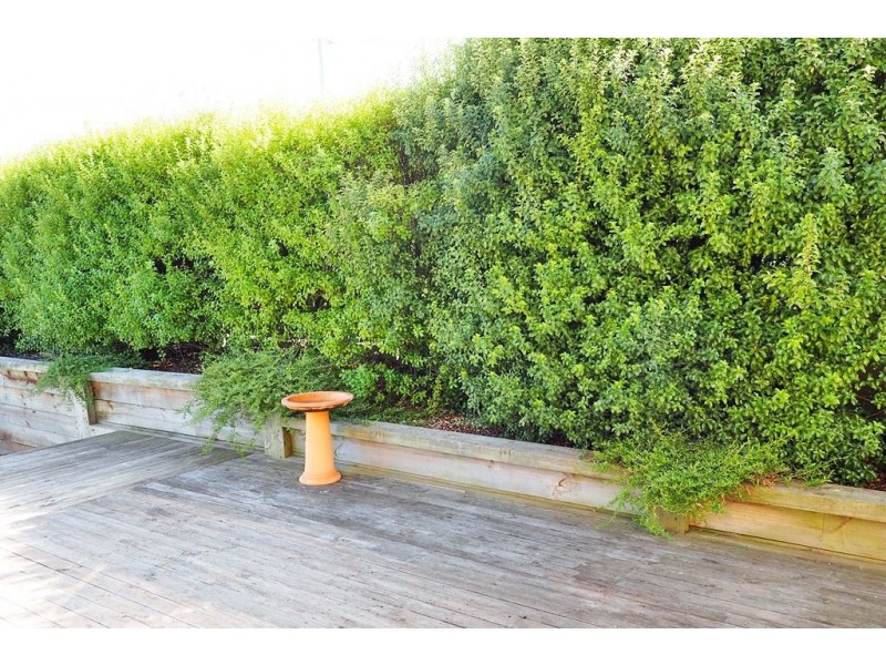 15 Ashburner Street, Devonport TAS 7310