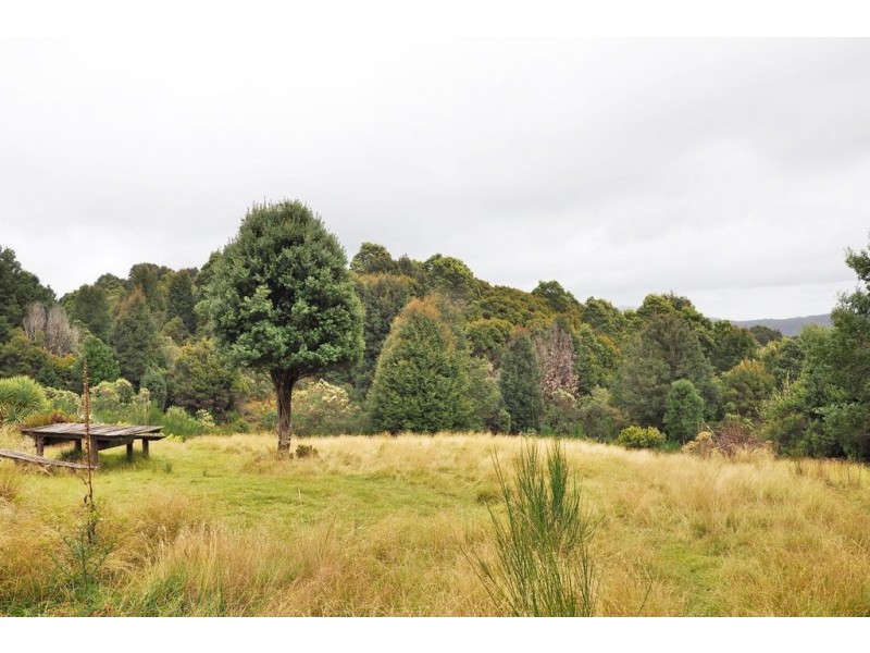 44 Walker Street, Waratah TAS 7321