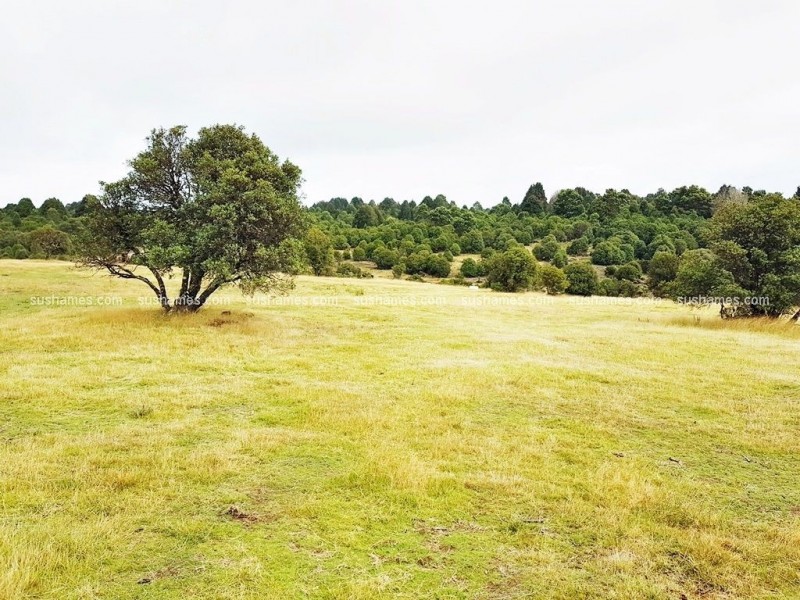 8/800 Waratah Road, Waratah TAS 7321