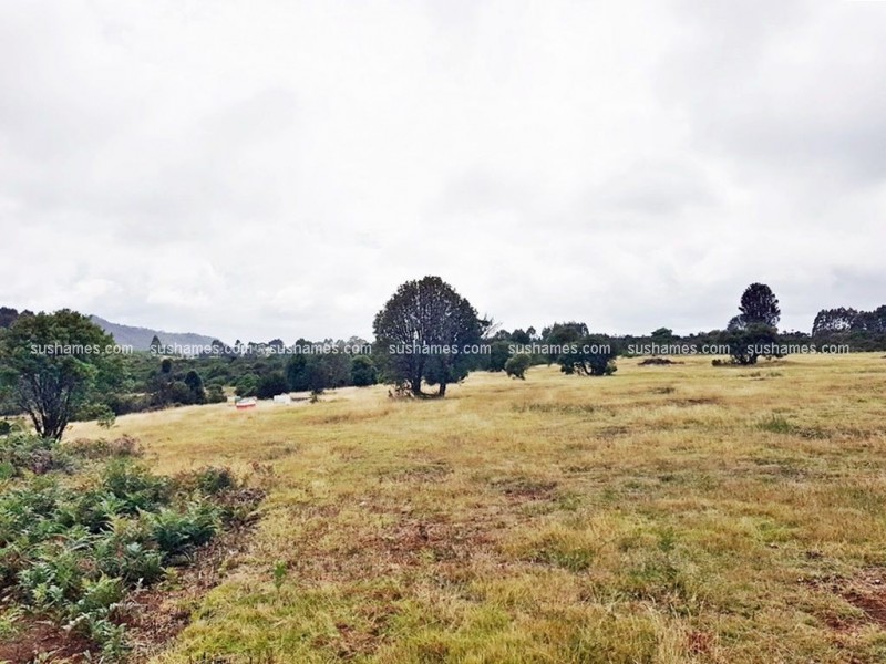 8/800 Waratah Road, Waratah TAS 7321